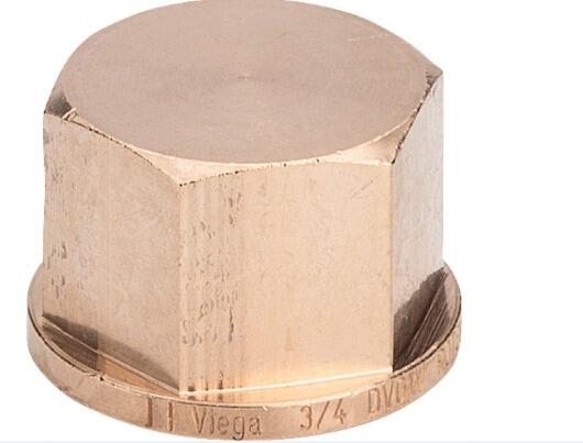 BOUCHON - Capuchon - Femelle - 3301