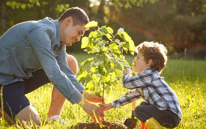 Sobriété énergétique : quels éco-gestes adopter facilement 