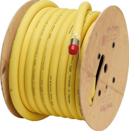 TRACPIPE (PLT) - Femelle